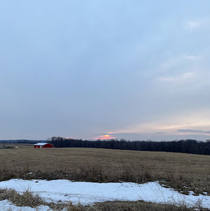 Meet your Posher, Alaina